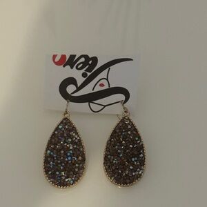 Chic Gold and Brown Teardrop Earrings